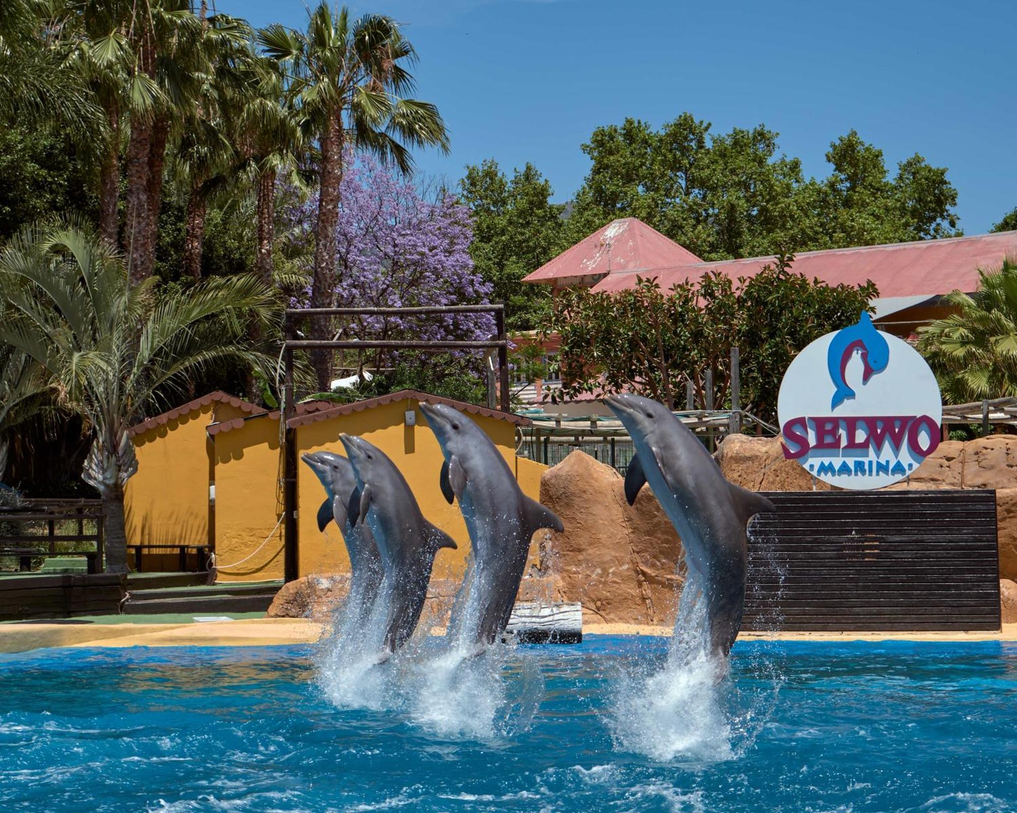 Apart With Swimming Pool Open All Year Benalmadena Ngoại thất bức ảnh
